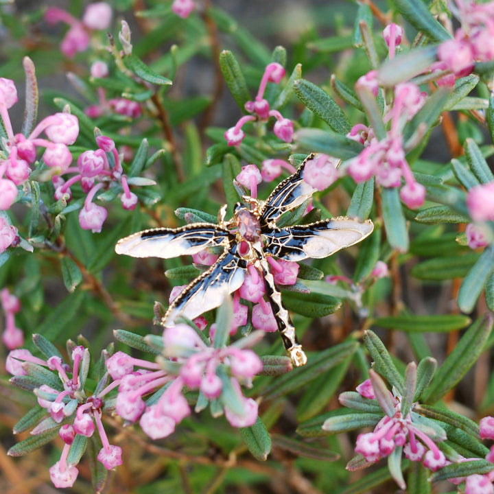 dragonfly brooch crystal