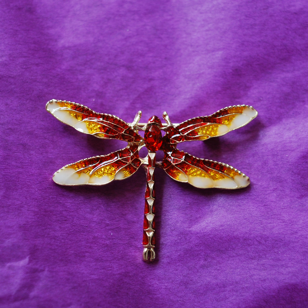 red dragonfly brooch